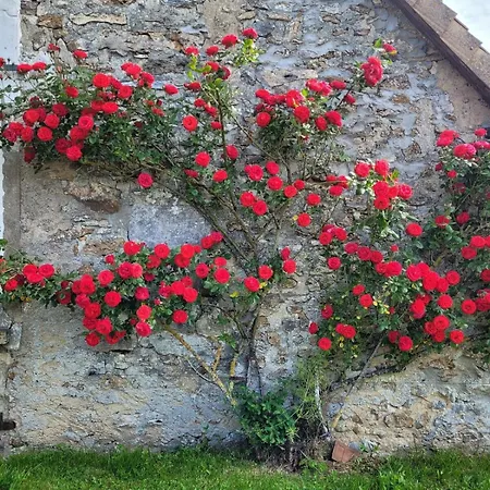 L'echappee D'aristide - Giverny & 50 Min Paris * Houlbec-Cocherel