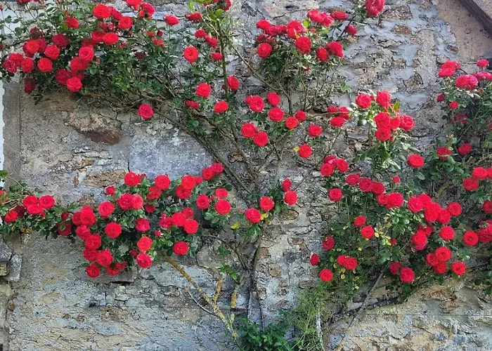 L'echappee D'aristide - Giverny & 50 Min Paris * Houlbec-Cocherel